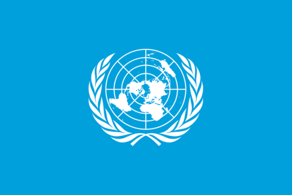 UN General Assembly adopts pandemic declaration, urges stronger global cooperation