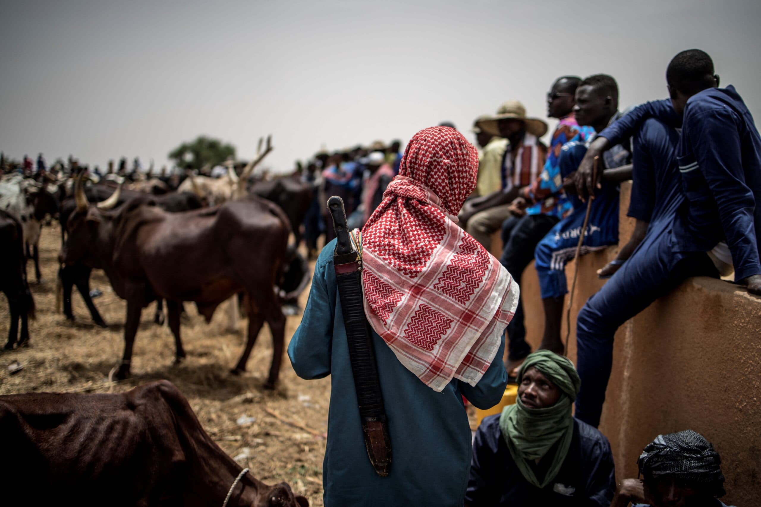 Banditry: Niger State to profile incoming herders, introduces entry permit