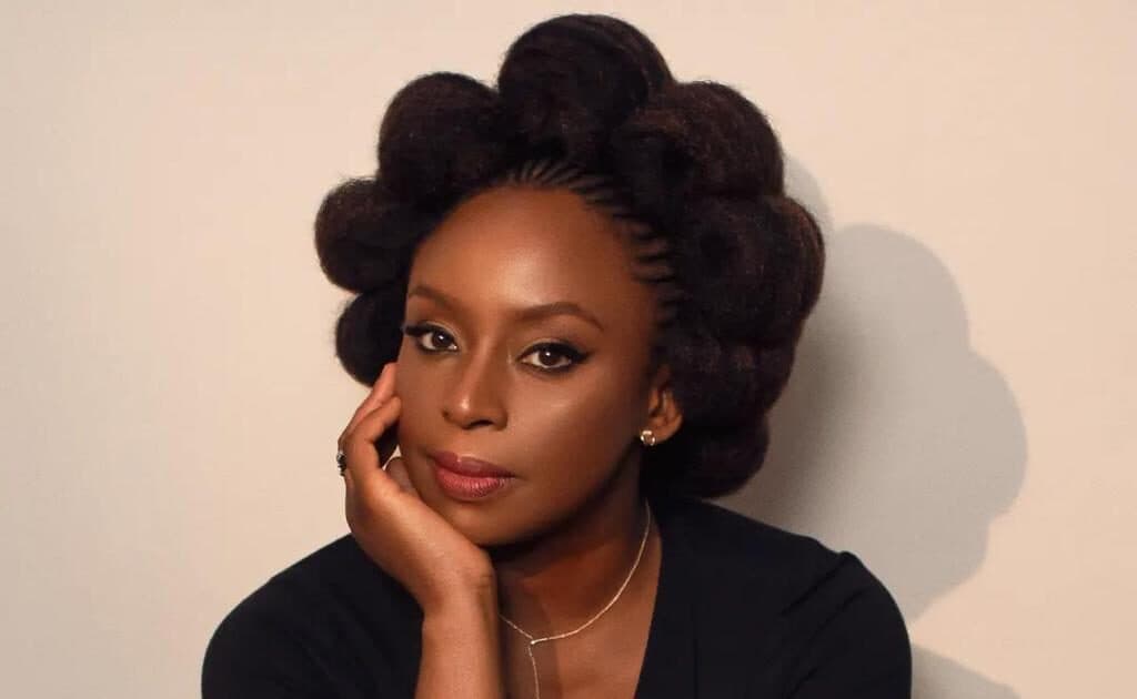 Chimamanda Adichie, husband urge court to dismiss hospital’s suit against son’s death inquest