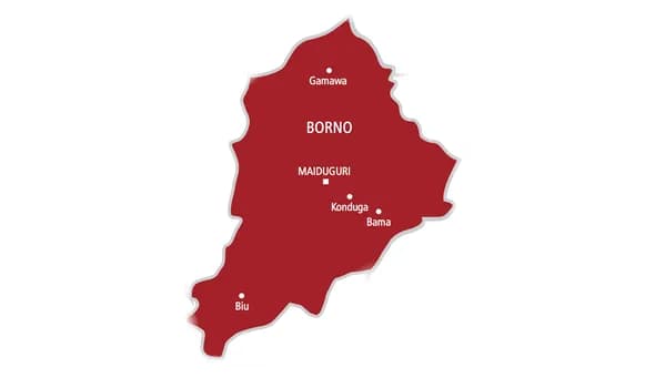 Video renews school safety fears as 78 Borno students remain in captivity
