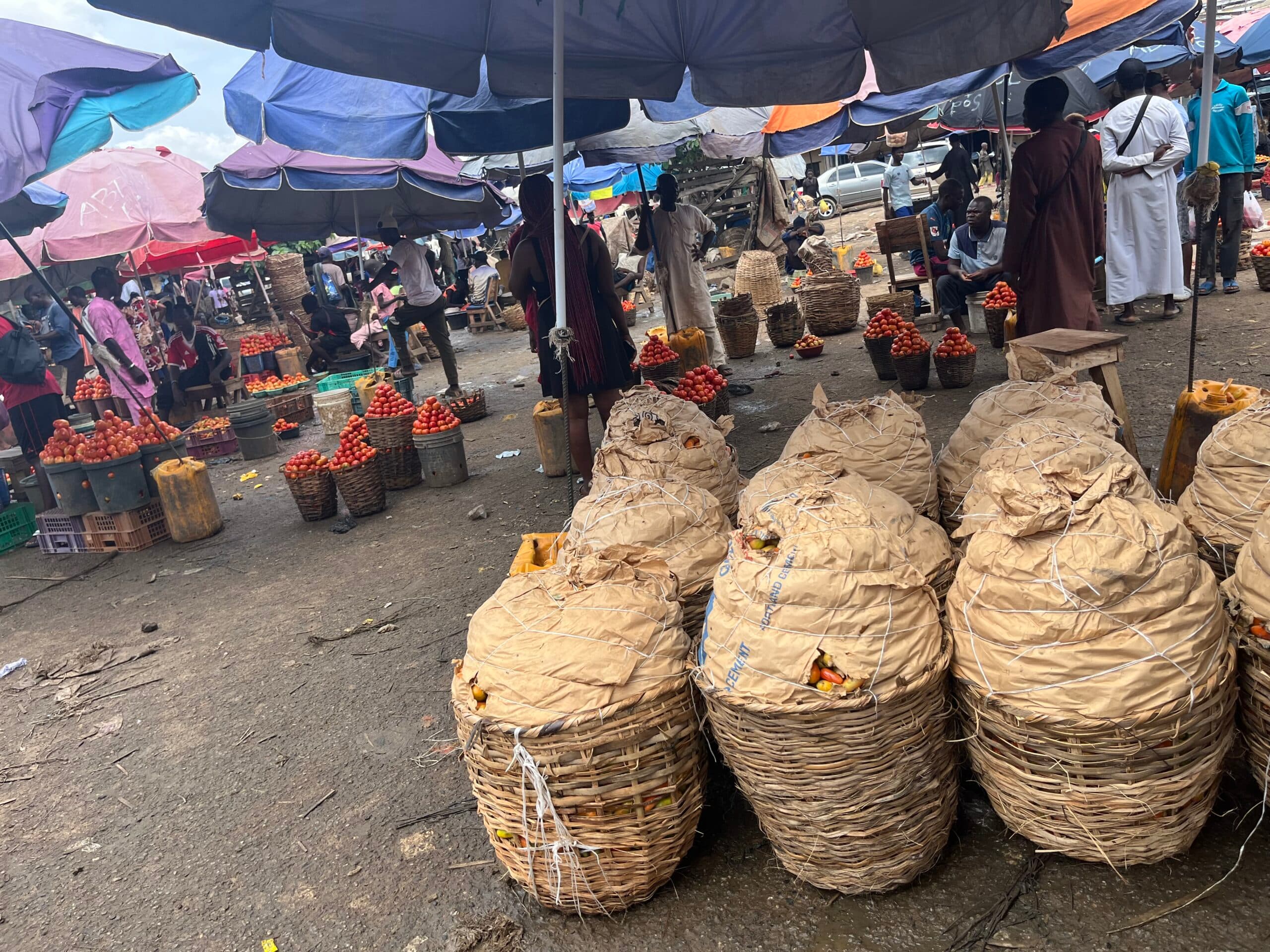 Financial Inclusion: Nigeria’s cashless boom leaves rural women, cross-border traders behind