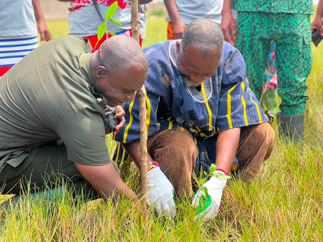 IRCC Project Consortium, partners, launches 95,000-Mangrove Seedling Restoration Initiative in Ada West