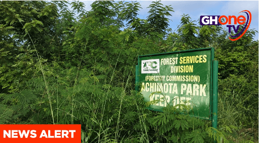 Mahama gov’t revokes E.I. 144, restores full legal protection to Achimota Forest