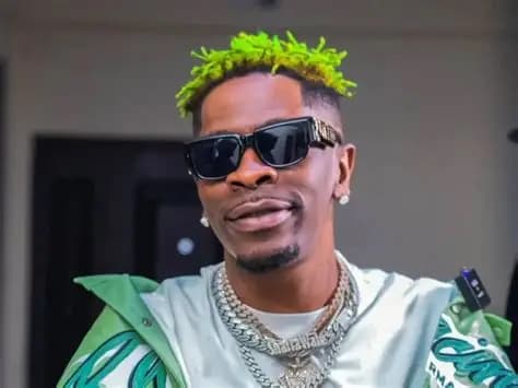 Dissolve creative Arts Ministry; it offers no support to industry players – Shatta Wale