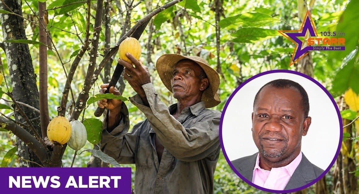 Cocoa pricing: Farmer share must reflect global market value –  George Oduro