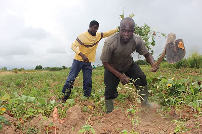 From the fields to national policy: How community voices are reshaping Ghana’s climate adaptation agenda 