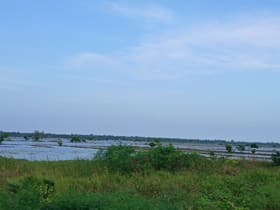 Floods affect over 5,000 people in rice farming community