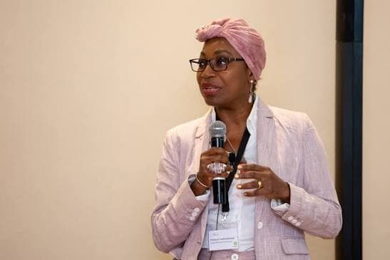 Africa’s natural resources must drive jobs, industrialisation – Denton  