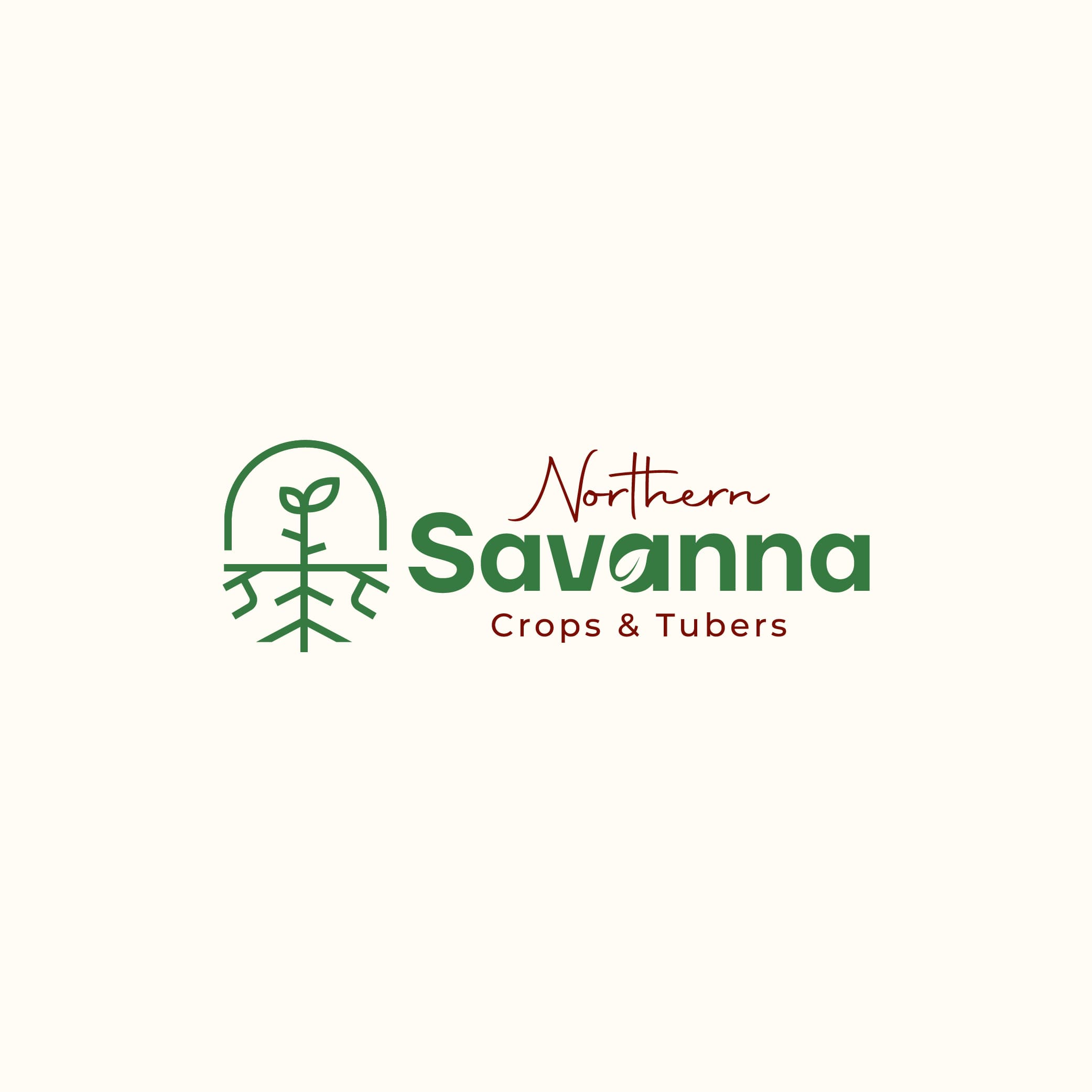 Northern-Savanna Crops & Tubers and Complete Farmer Ltd sign landmark organic sesame partnership