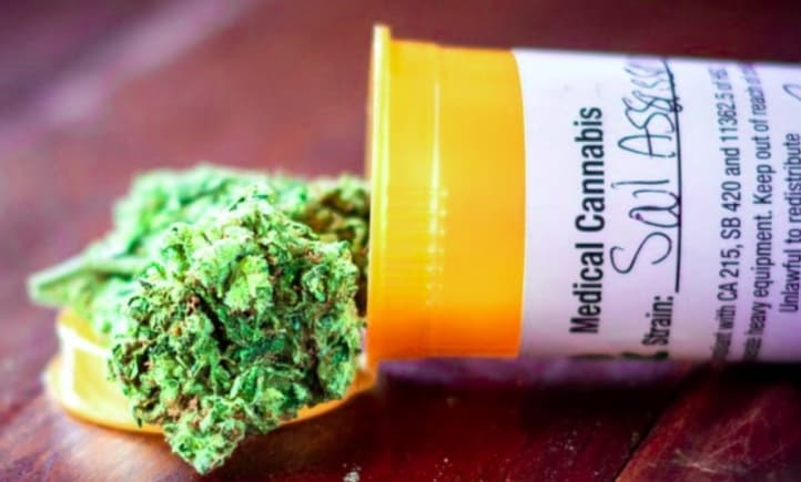 8 Companies apply to cultivate industrial cannabis in Ghana – Interior Minister