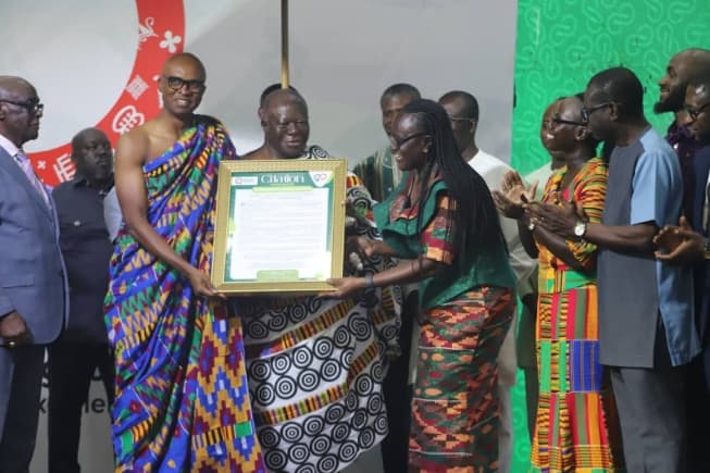 Invest in training and deployment of pharmacists – Asantehene urges government