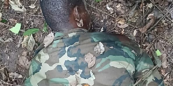Wildlife guard killed by suspected poacher at Kakum Forest Reserve