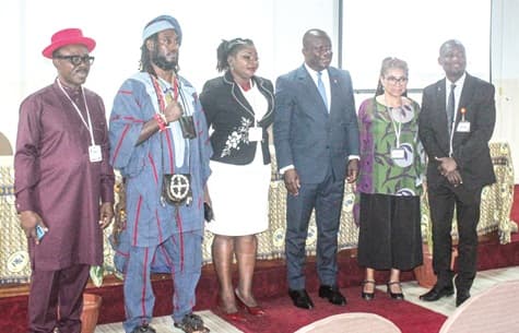 Justice must guide Africa's energy transition — Former Lands Minister