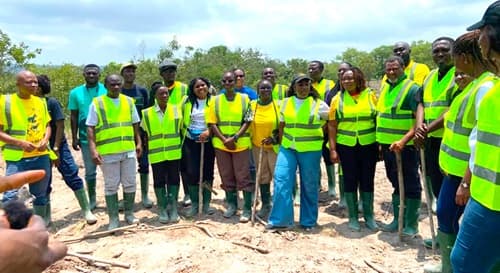 MTN, partners launch reforestation drive in Chepa Forest Reserve