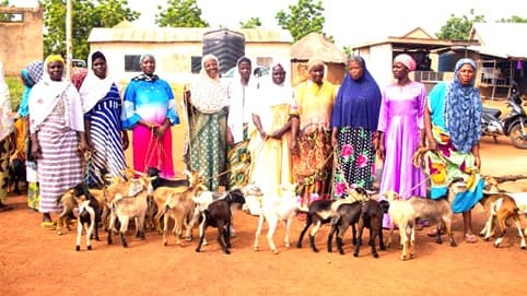 521 Entrepreneurs receive support to boost businesses in Northern Region