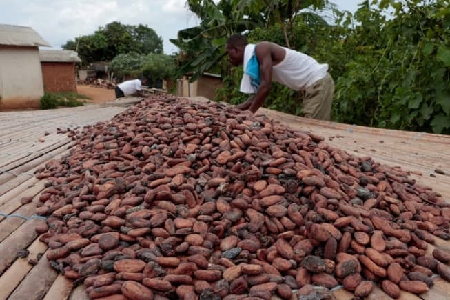COCOBOD raises GH¢16.3bn on GSE - Proceeds to fund cocoa purchases, operations
