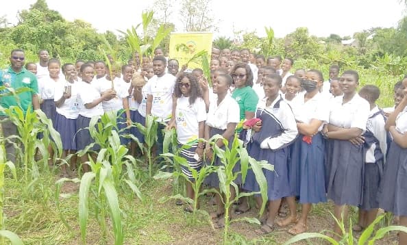 ASA Savings and Loans, schools partner to restore Sunyani's vanishing green cover