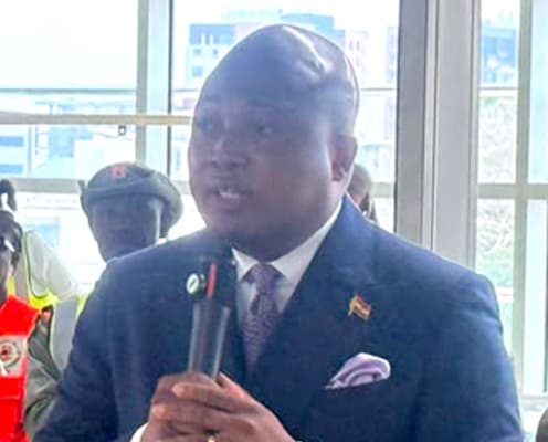 More evacuees arrive from South Africa