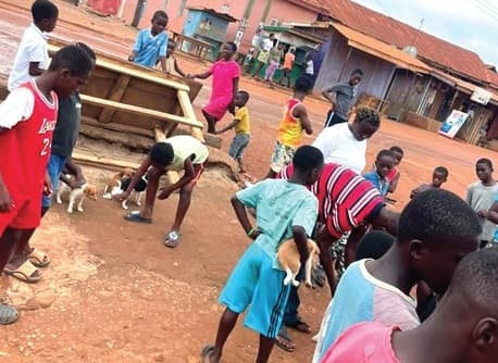 Atwima Nwabiagya North marks World Rabies Day with free anti-rabies vaccination