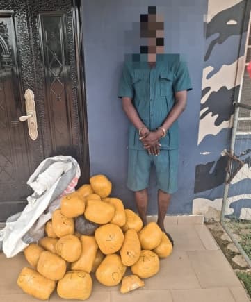 Police arrest suspected drug dealer in Paga, seizes 38 parcels of Indian hemp
