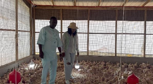 Ablekuma North MP launches poultry project for youth, women