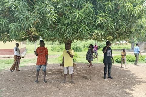 Under the mango tree: The struggle for mobile connectivity in Chakori