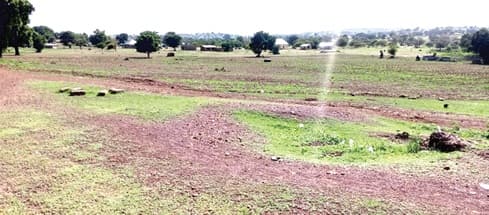 Green Ghana Project: Over 90% of seedlings die in communities in Upper East