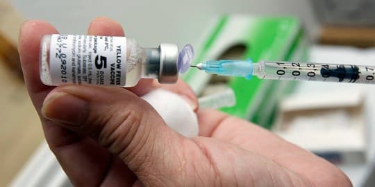 Yellow fever outbreak: Gov’t must prioritise local vaccine manufacturing – SEND Ghana