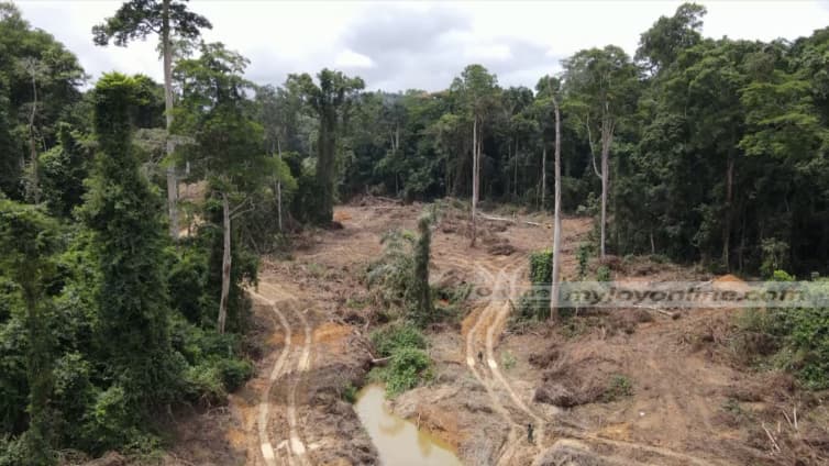 Jatikay Centre welcomes Wontumi conviction, calls for sustained crackdown on galamsey