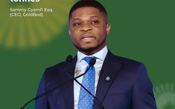 Africa’s rise must be owned by Africans, Sammy Gyamfi tells diaspora