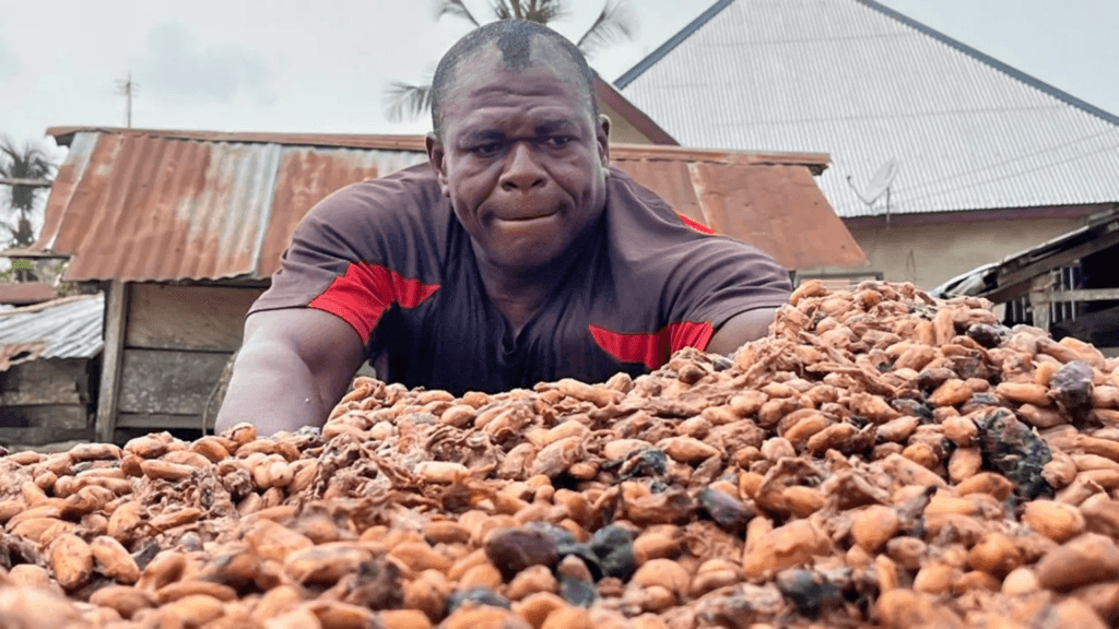 Cocoa farmers urge review of Bill before presidential assent