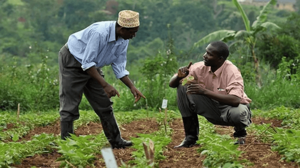 Africa’s youth are looking for jobs: The food system may hold the answer