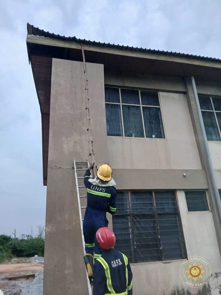 GNFS relocates bee swarm from Vakpo Sec-Tech after attack on student, teacher