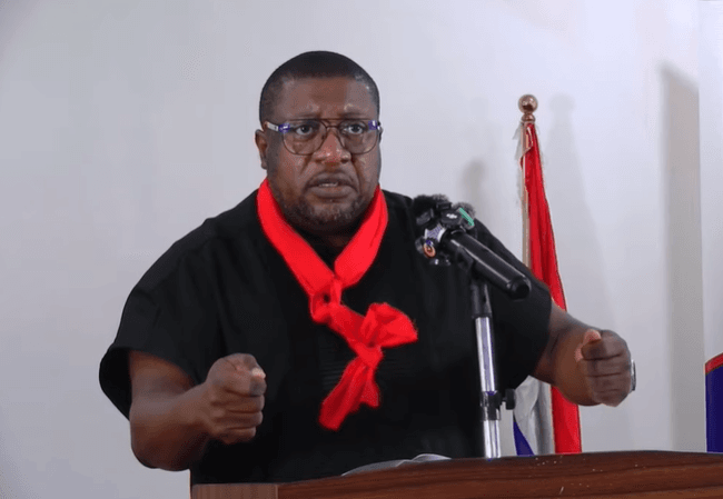 Sedina Tamakloe acquittal politically motivated and orchestrated – NPP