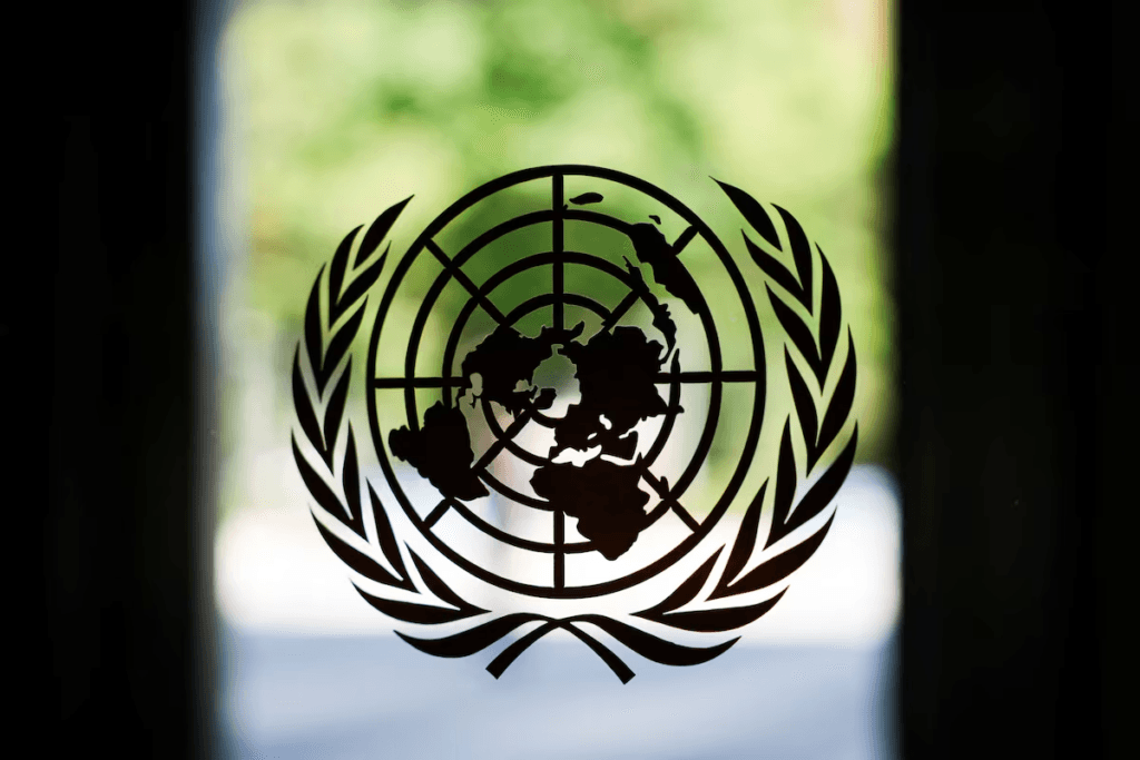 UN rights office deplores alleged killing, torture of Malian soldiers by insurgents