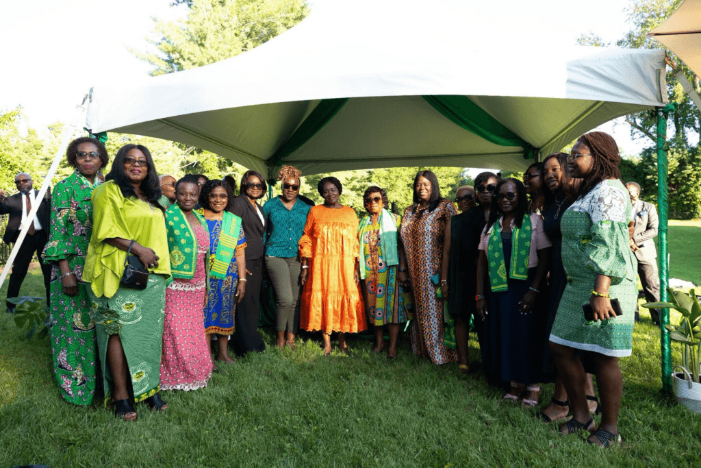 Vice President assures Ghanaian diaspora of steady economic recovery, calls for support