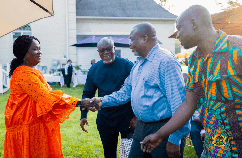 Vice President urges Ghanaian diaspora to invest in value addition, help transform economy
