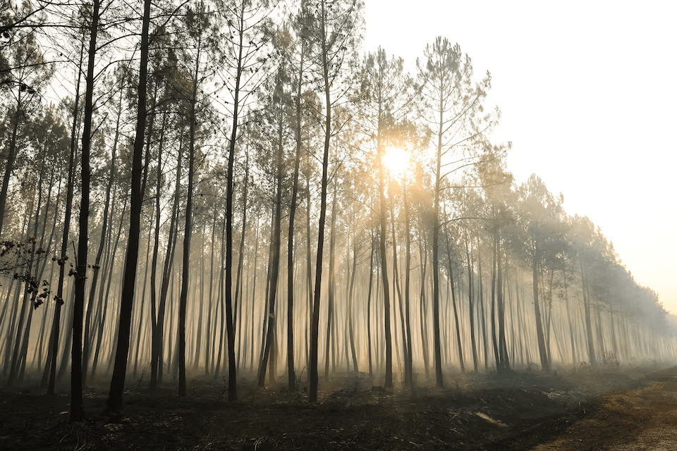 Major wildfire stabilises in central Spain but rising temperatures bring new alerts