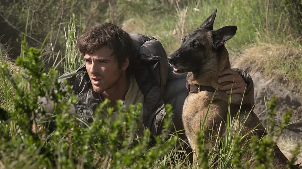 The Dog Stars to One Night Only: 10 of the best films to watch this August