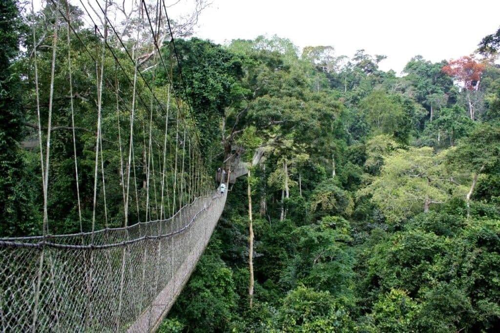 Tourism: Ghana’s new engine for youth jobs and employment