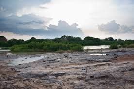 CRS holds forum on sustainable sand mining on White Volta River