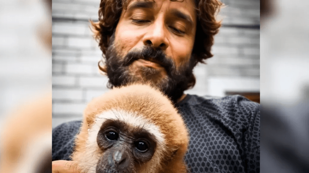Indian actor’s video with endangered gibbon sparks investigation