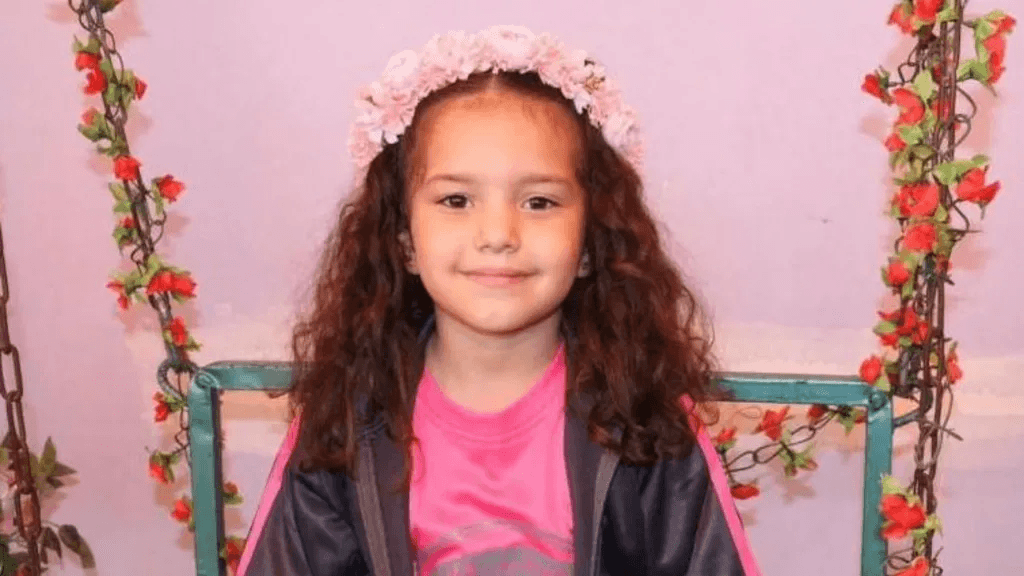 Israeli army orders criminal investigation into killing of Palestinian girl Hind Rajab in Gaza