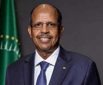 AU condemns deadly attack on UN peacekeepers in South Sudan