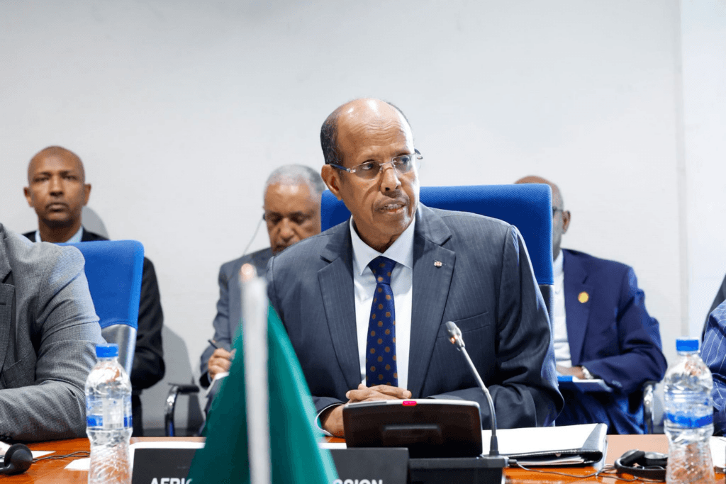 AU Chairperson reaffirms commitment to global African unity