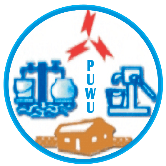 PUWU urges government to retain public ownership of ECG, NEDCo