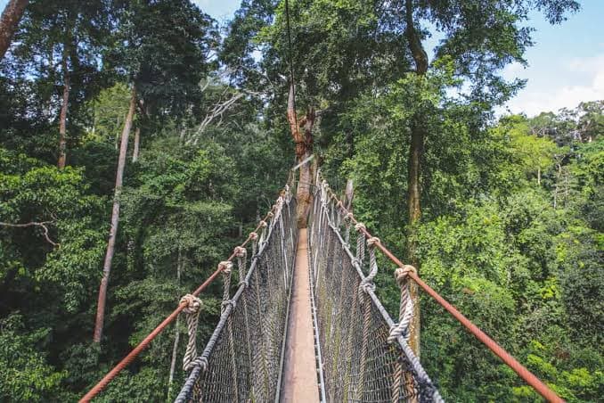 Kakum National Park killing: Brother recounts how resource guard was shot during patrol