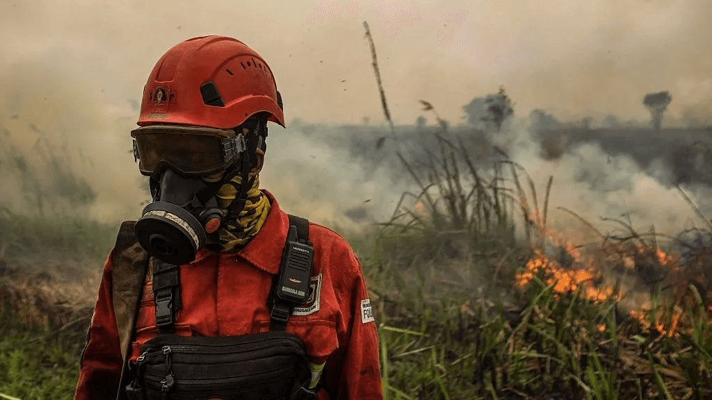 Toxic wildfire haze spreads across South East Asia as ‘super’ El Niño intensifies