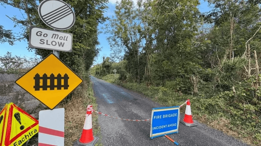 Boy, 12, dies after car hit by train