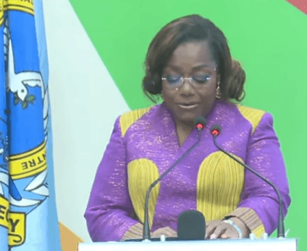 Government to deploy sovereign virtual platform for secure high-level meetings – Nana Oye Bampoe Addo